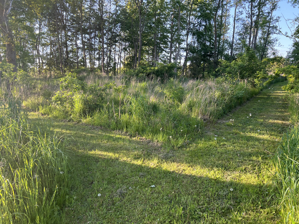 Plangrund 31