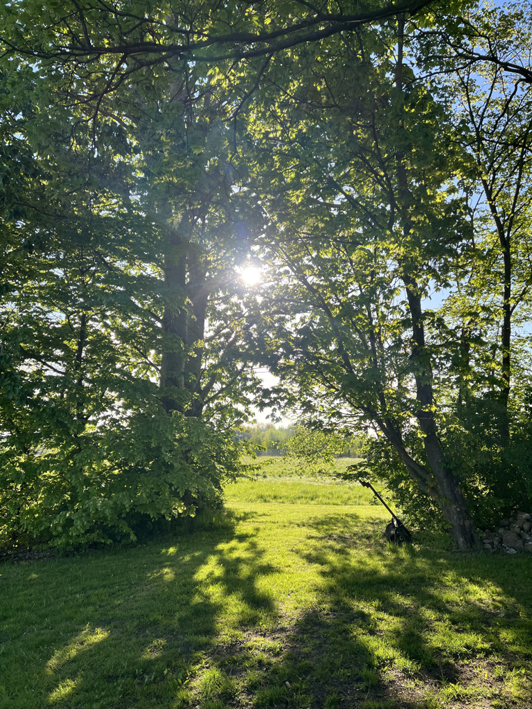 Plangrund 33